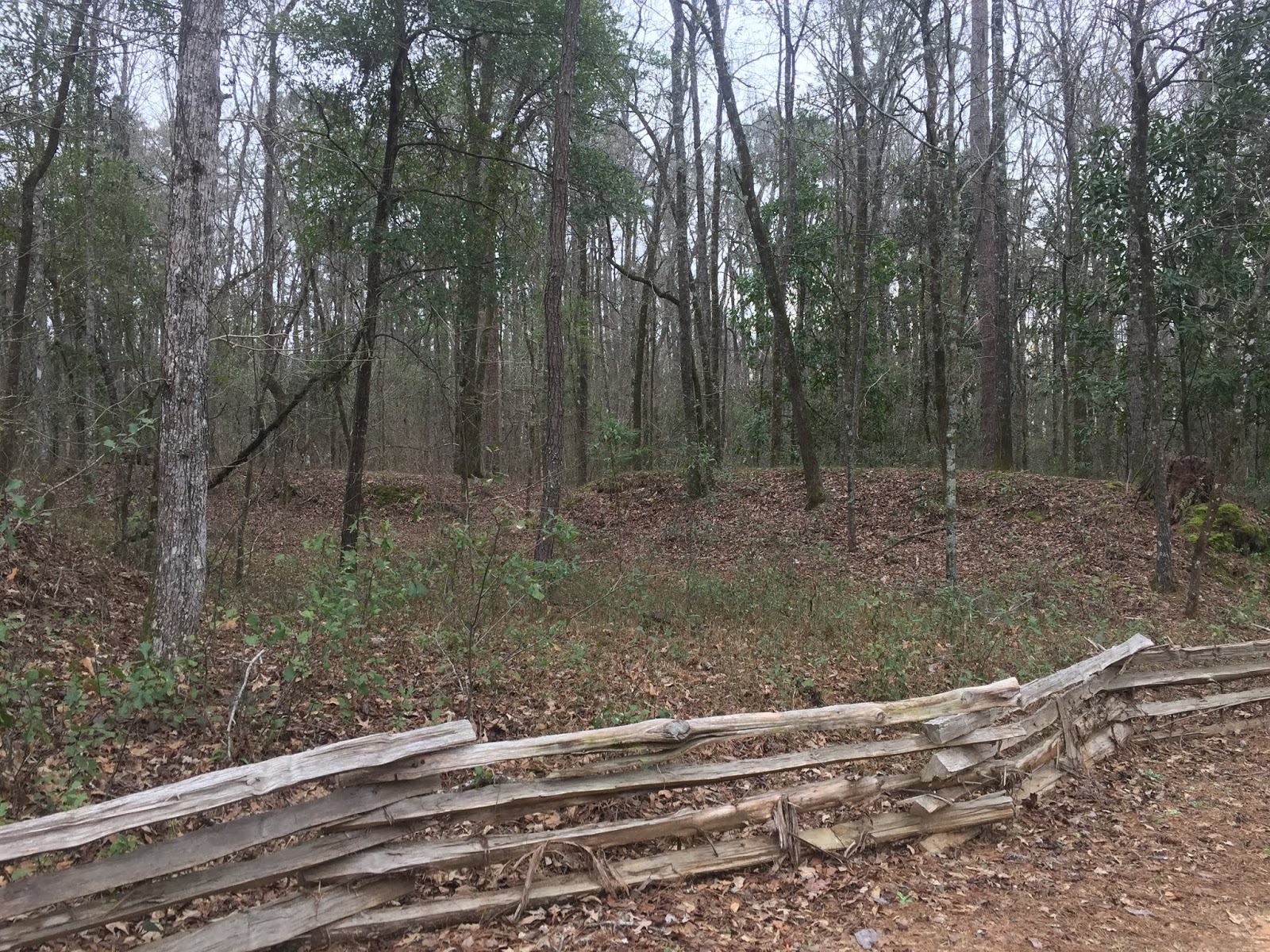 Battle of Rivers Bridge State Historic Site