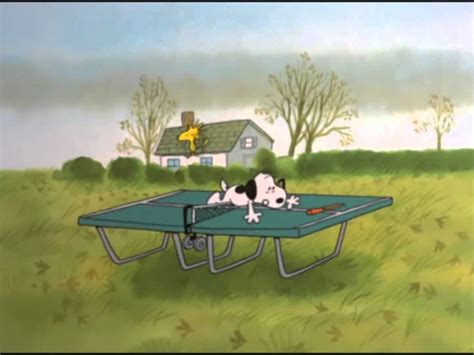 Snoopy has his ear is toasting in the toaster  Thanksgiving cartoon, Charlie  brown thanksgiving, Charlie brown