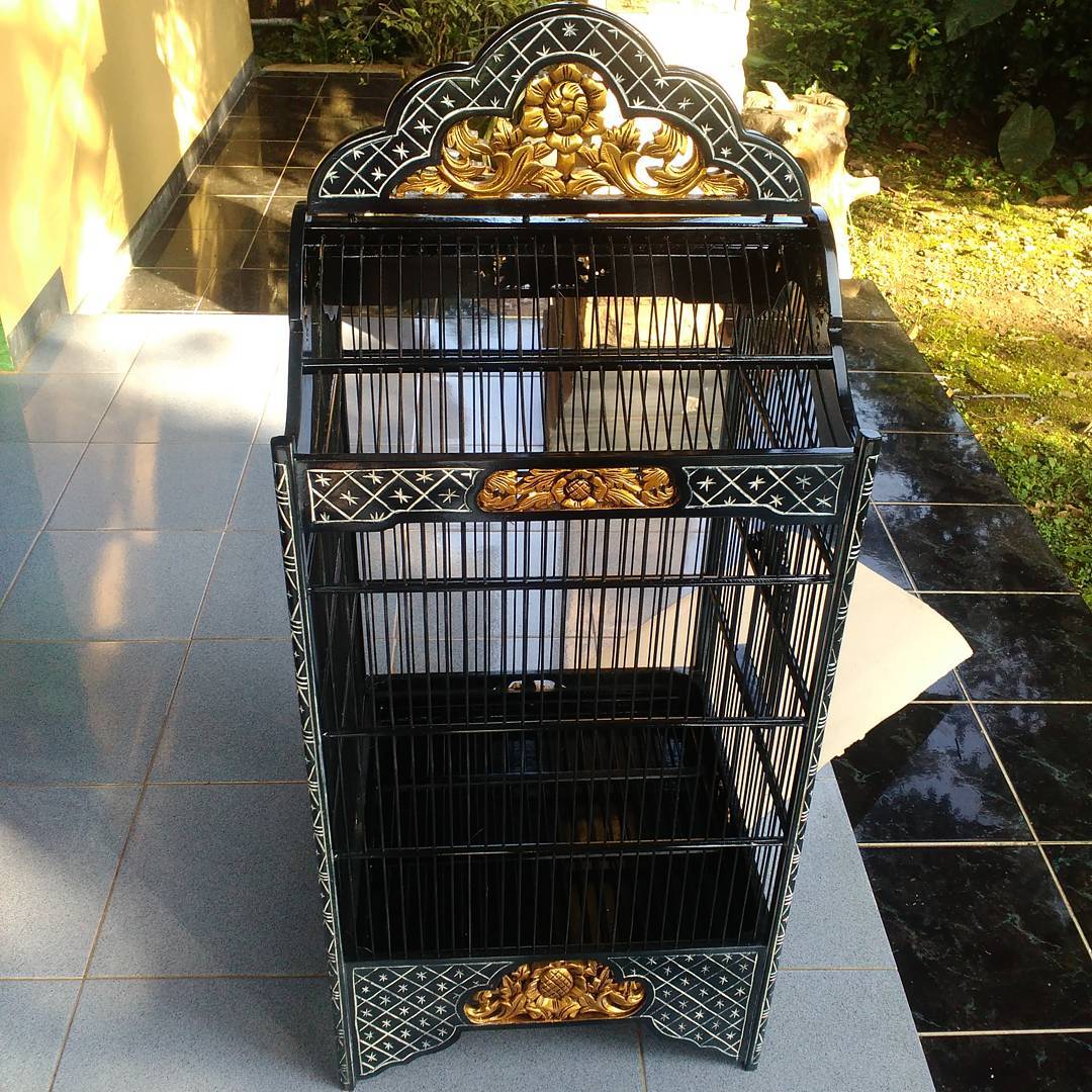 Jual Sangkar Ukir Murah Kacer, Cucak Ijo, Kenari Model