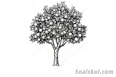 contoh gambar pohon 7