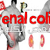 المغص الكلوي _ Renal colic المغص الكلوي _ Renal colic