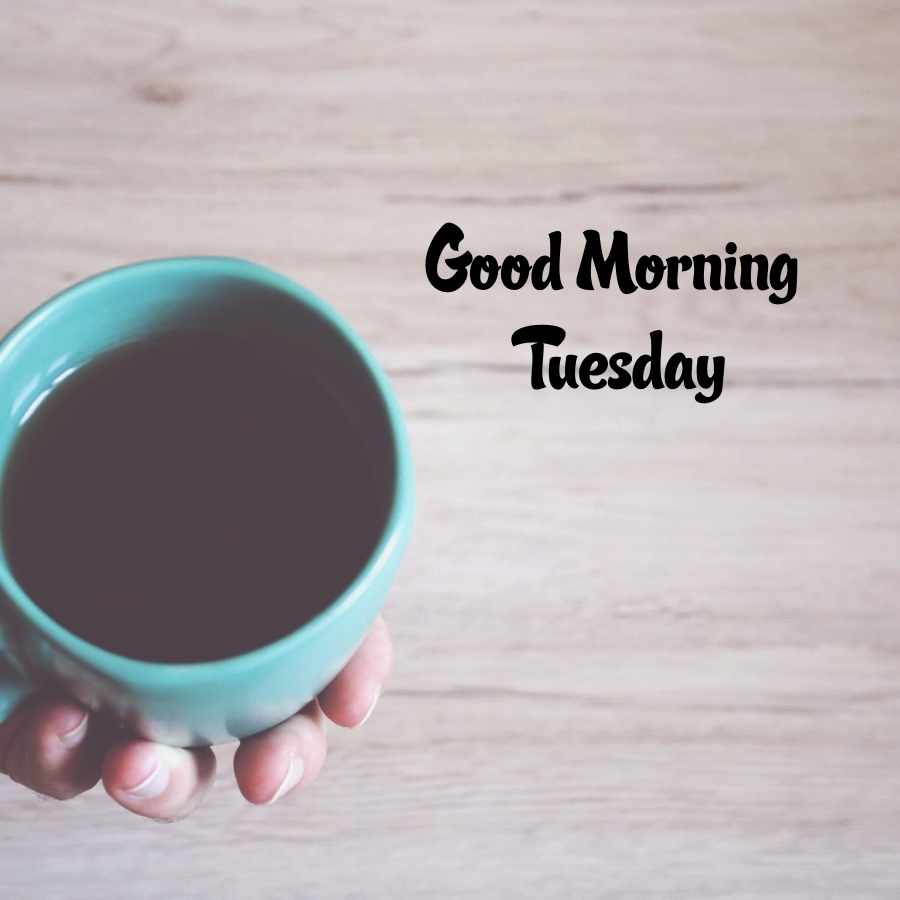 animated happy tuesday