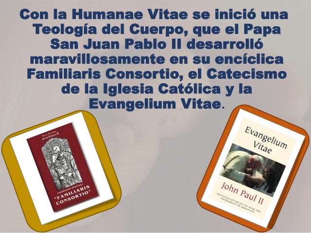 Armonía entre Humanae vitae y Gaudium et spes, San Juan Pablo II