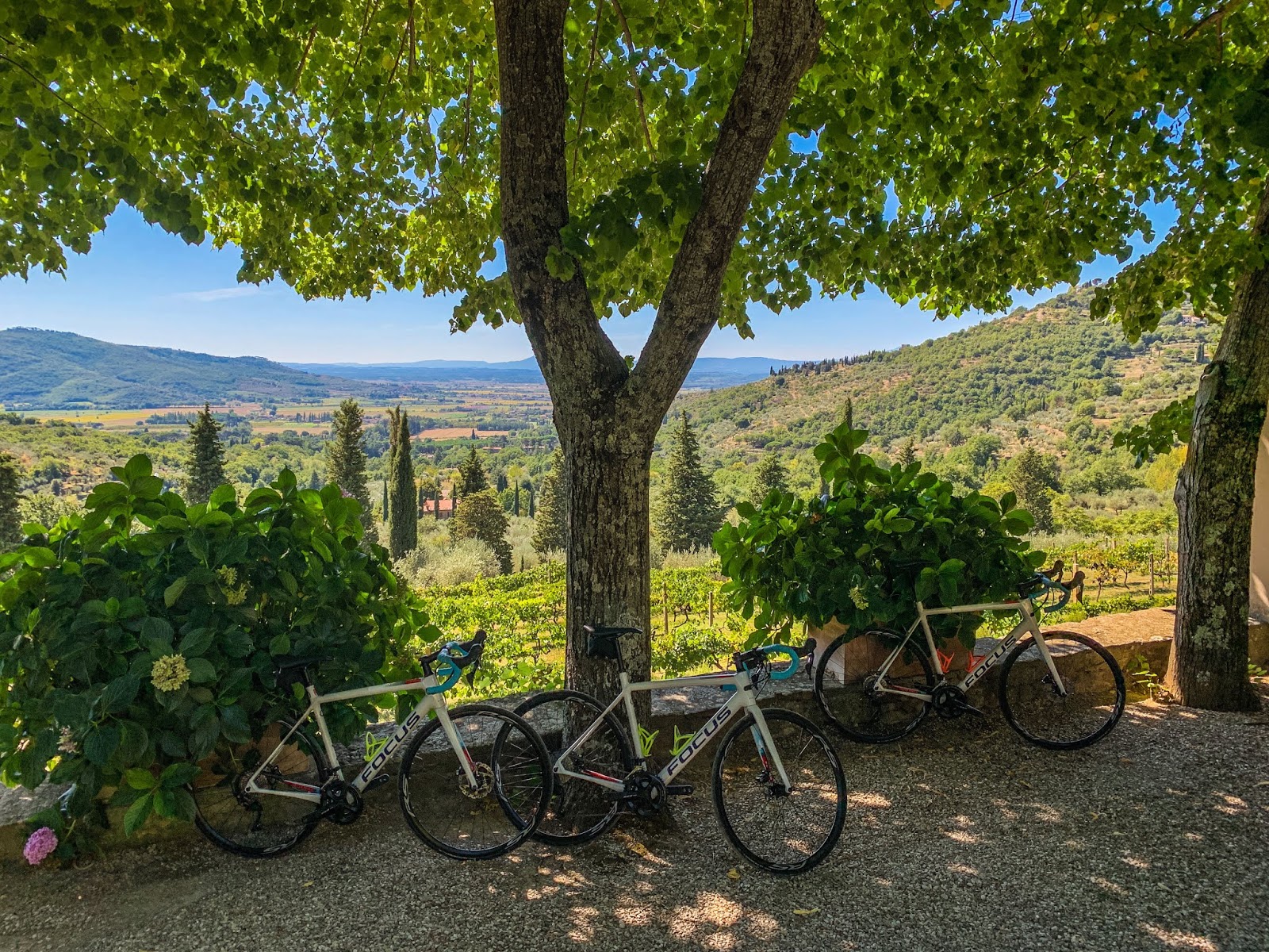 Full carbon road bike rental delivered at Villa Ugo Cortona Tuscany Italy