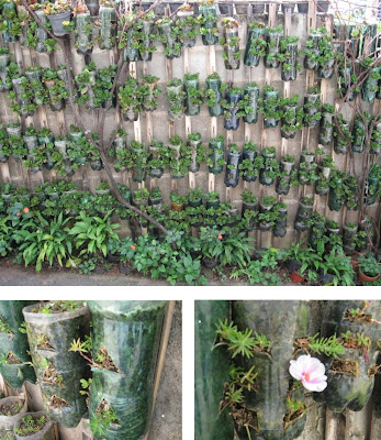 ciclicca-jardim-de-garrafas-pet