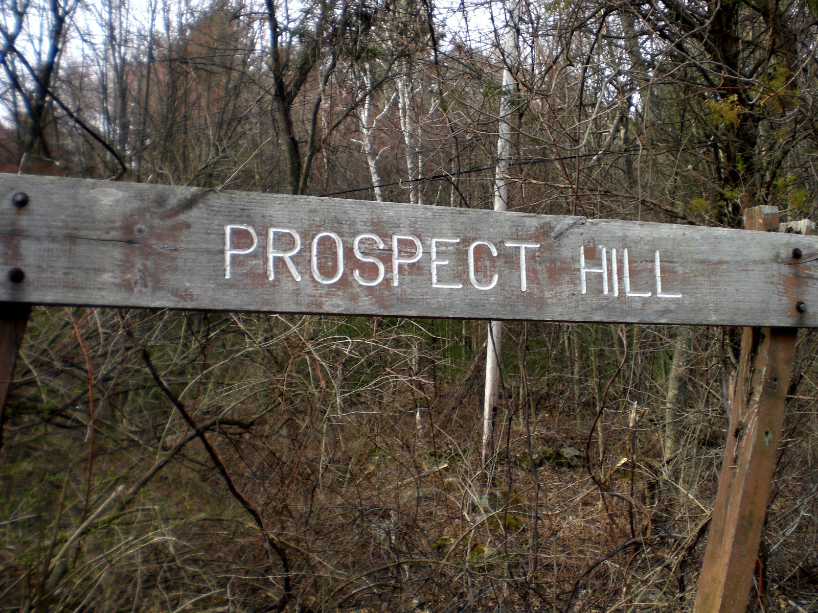 Breakheart Trail Running Bay Circuit Trail Run, Section 2 Boardwalks