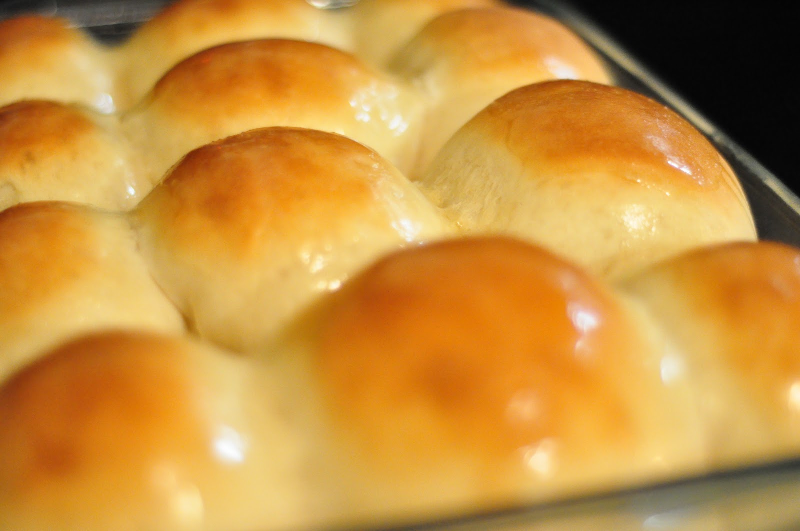 The Bills Bank Day 273 World's Best Dinner Rolls