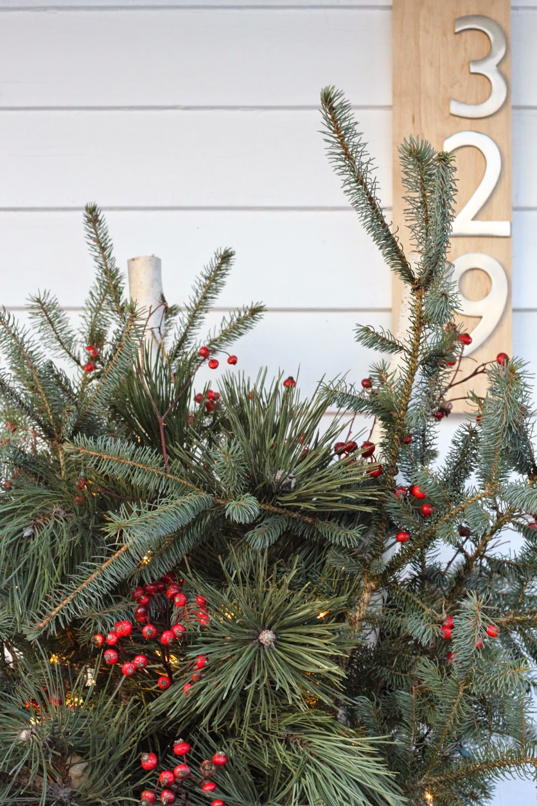modern jane Outdoor Christmas Pots.
