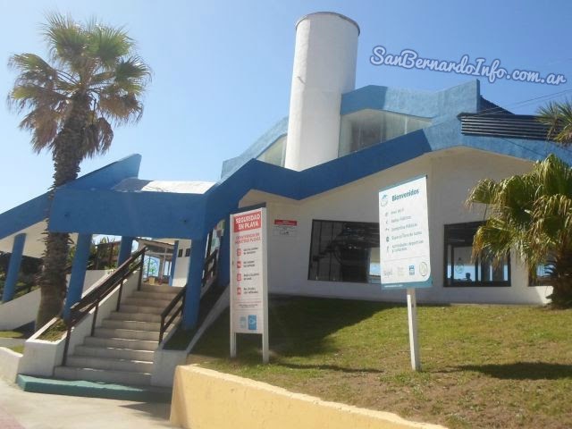 Semillas para “Huerta en Casa” ~ San Bernardo Info