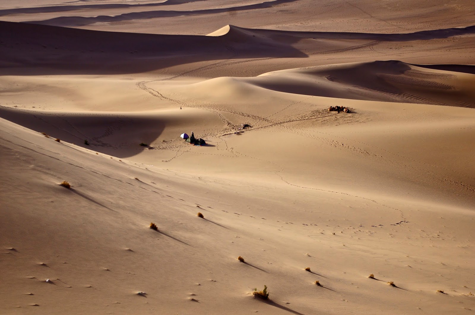 STD 7 TERM 1 SOCIAL LANDFORMS KAHOOT GAME BY S.SUMATHI