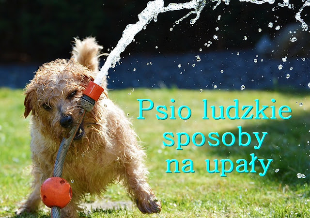 sposoby na upały