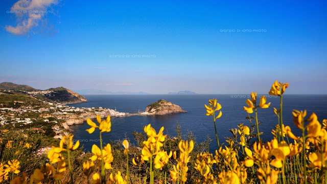 Baia della Pelara, Baie di Ischia, foto Ischia, Paesaggi Ischitani, Sentieri di Ischia, trekking Ischia, Monte di Panza, Capo Negro Ischia,