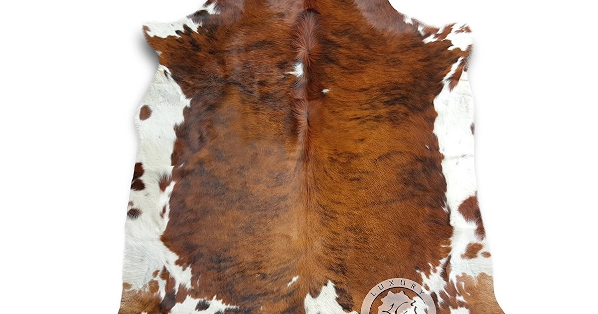 All About Women's Things Cowhide Rugs Contemporary and Natural Rugs