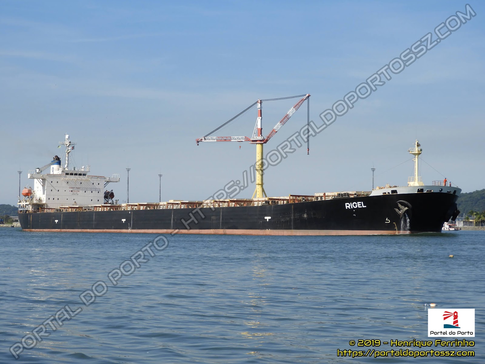 Rigel - Portal do Porto