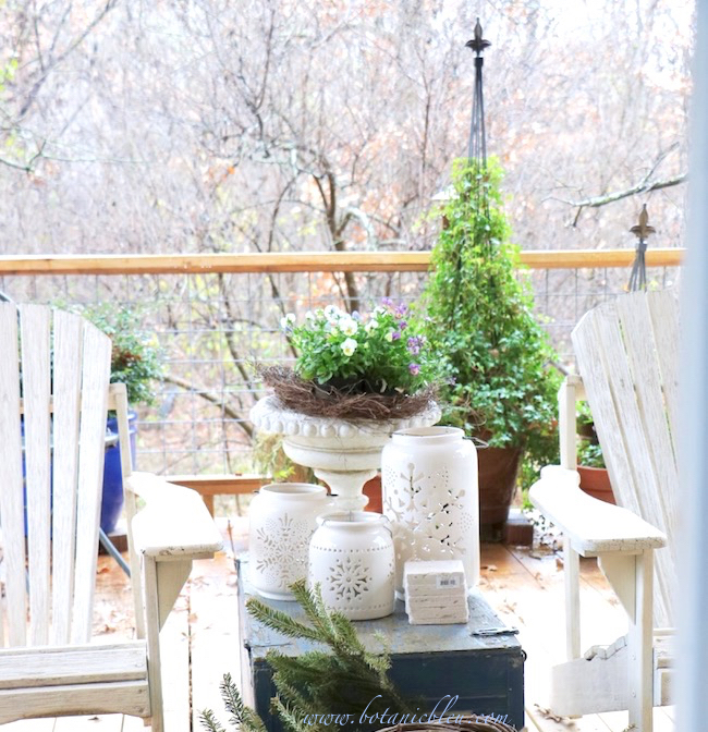 winter-porch-plants-violas-ivy-topiary