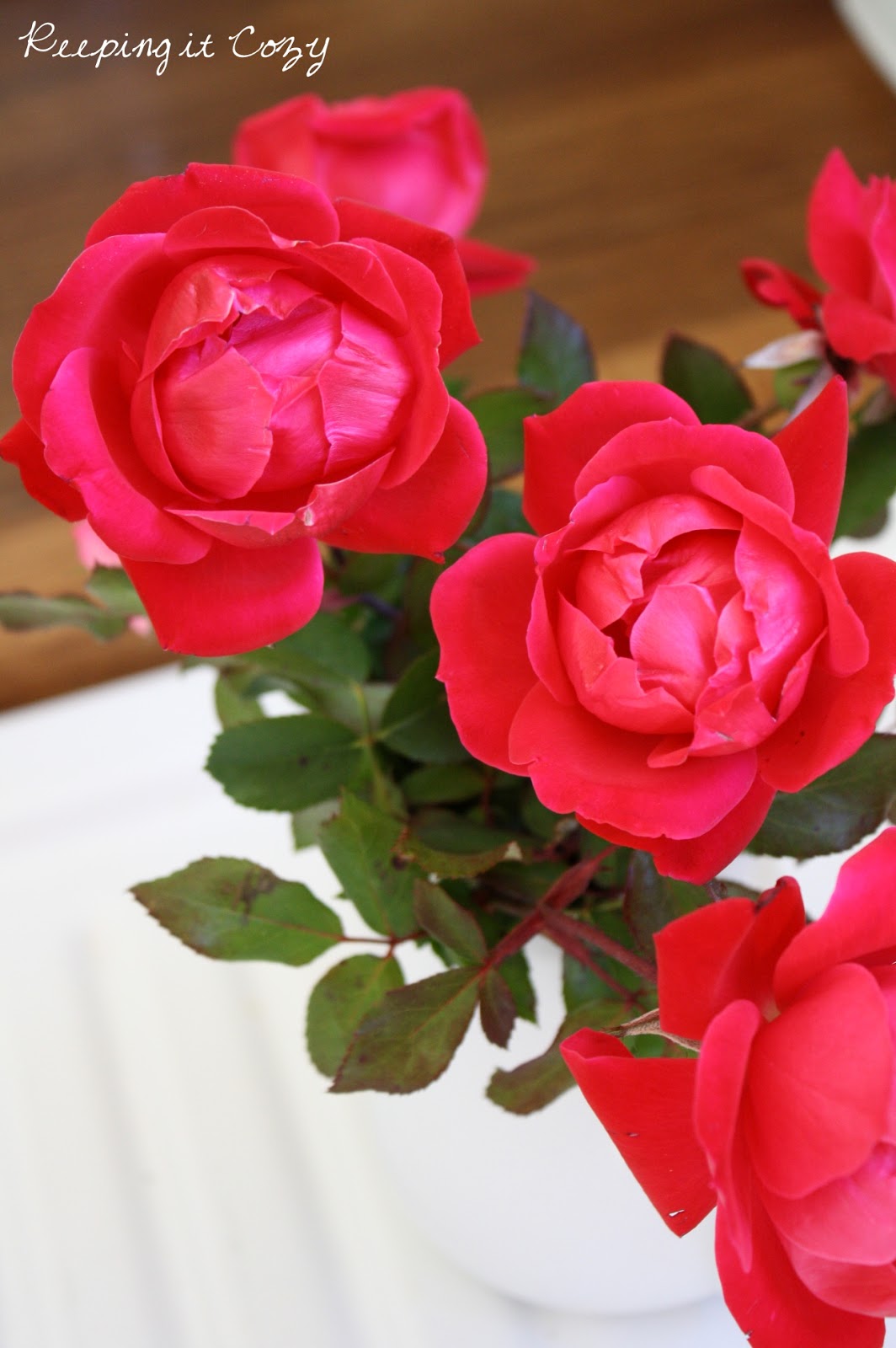 Keeping It Cozy Thanksgiving Roses