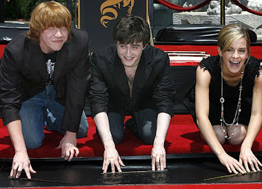 The Harry Potter Trio