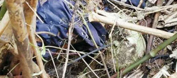 News, Kerala, Idukki, Women, Missing, Dead Body, Police, Crime Branch, Forensic Department, After a Year Dead Body Parts were Found