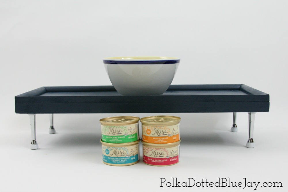 How To Make An Elevated Cat Food Tray Polka Dotted Blue Jay Easy To Follow Directions For Making A Diy Elevated Cat Food Tray This Simple