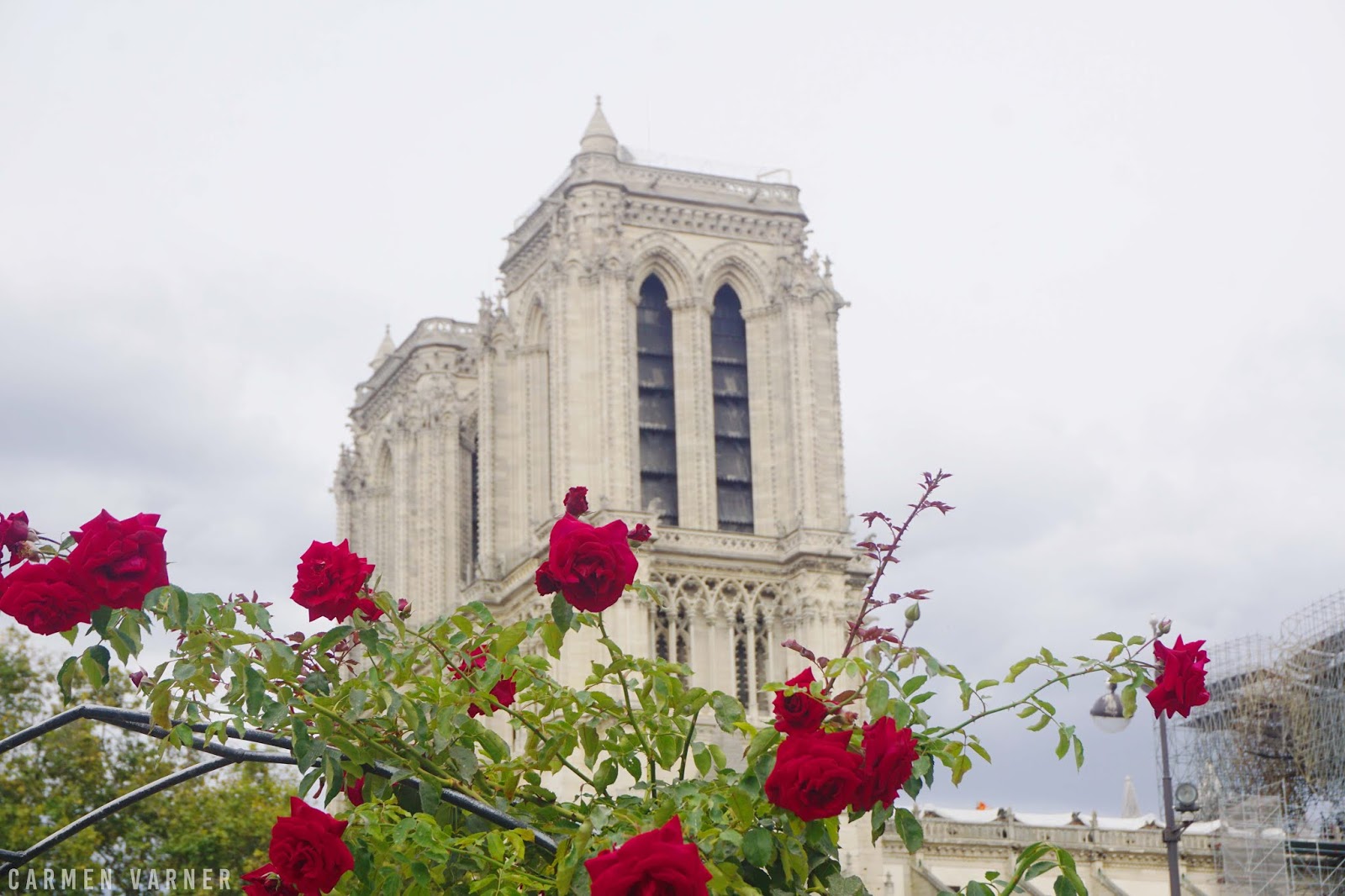 The Beauty Of The Notre Dame In Paris Carmen Varner Social Media Manager By Day Lifestyle Travel Writer Whenever Else