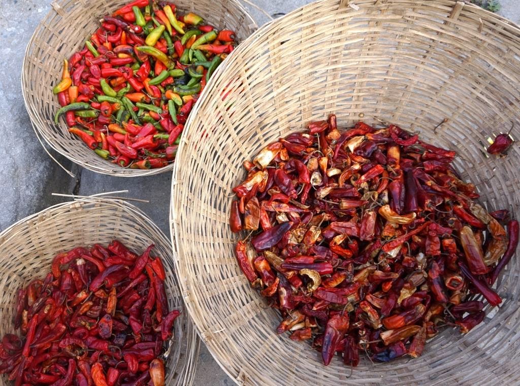 chilli of all types