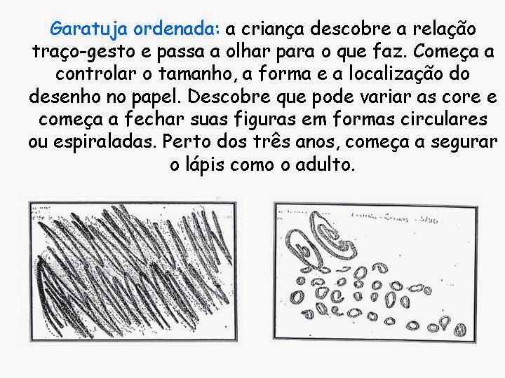 Educação Infantil, 