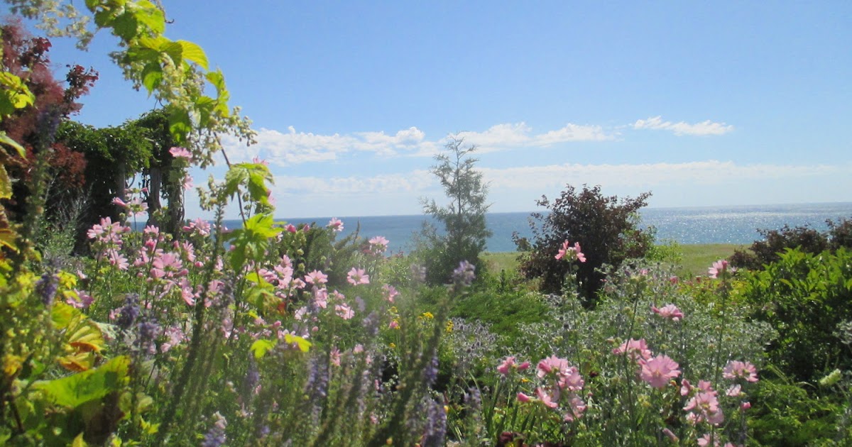 Gardens at Waters East: BLOG SHOTS #91