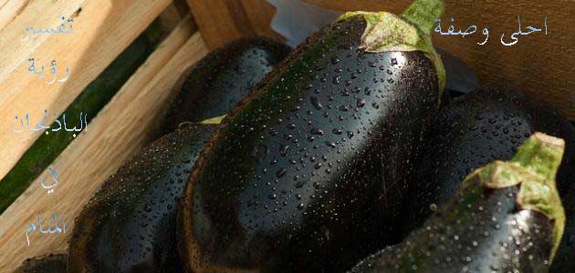 تفسير حلم رؤية الباذنجان في المنام تفسير حلم رؤية الباذنجان في المنام