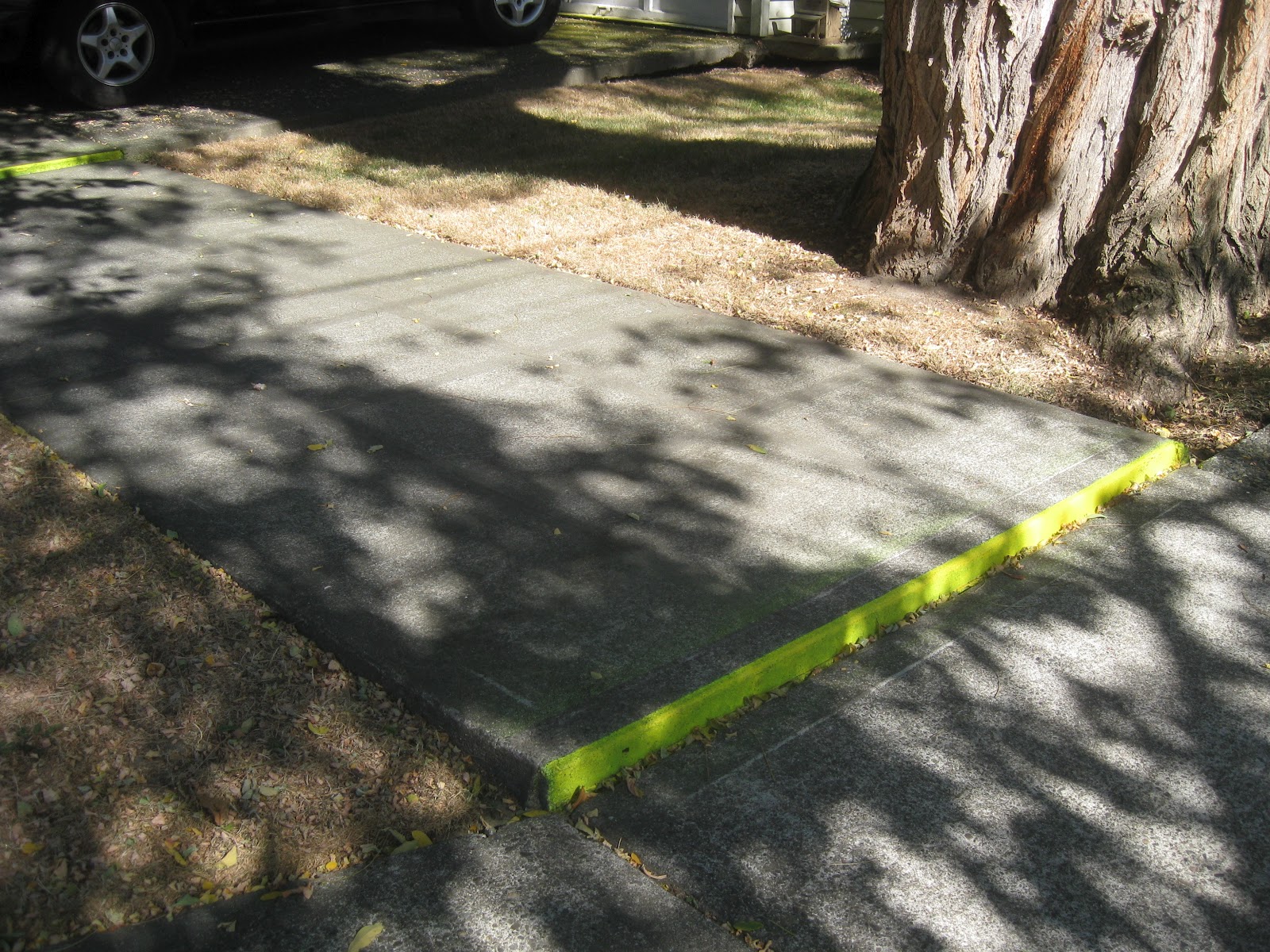 Transportation Nag What if you can't walk?