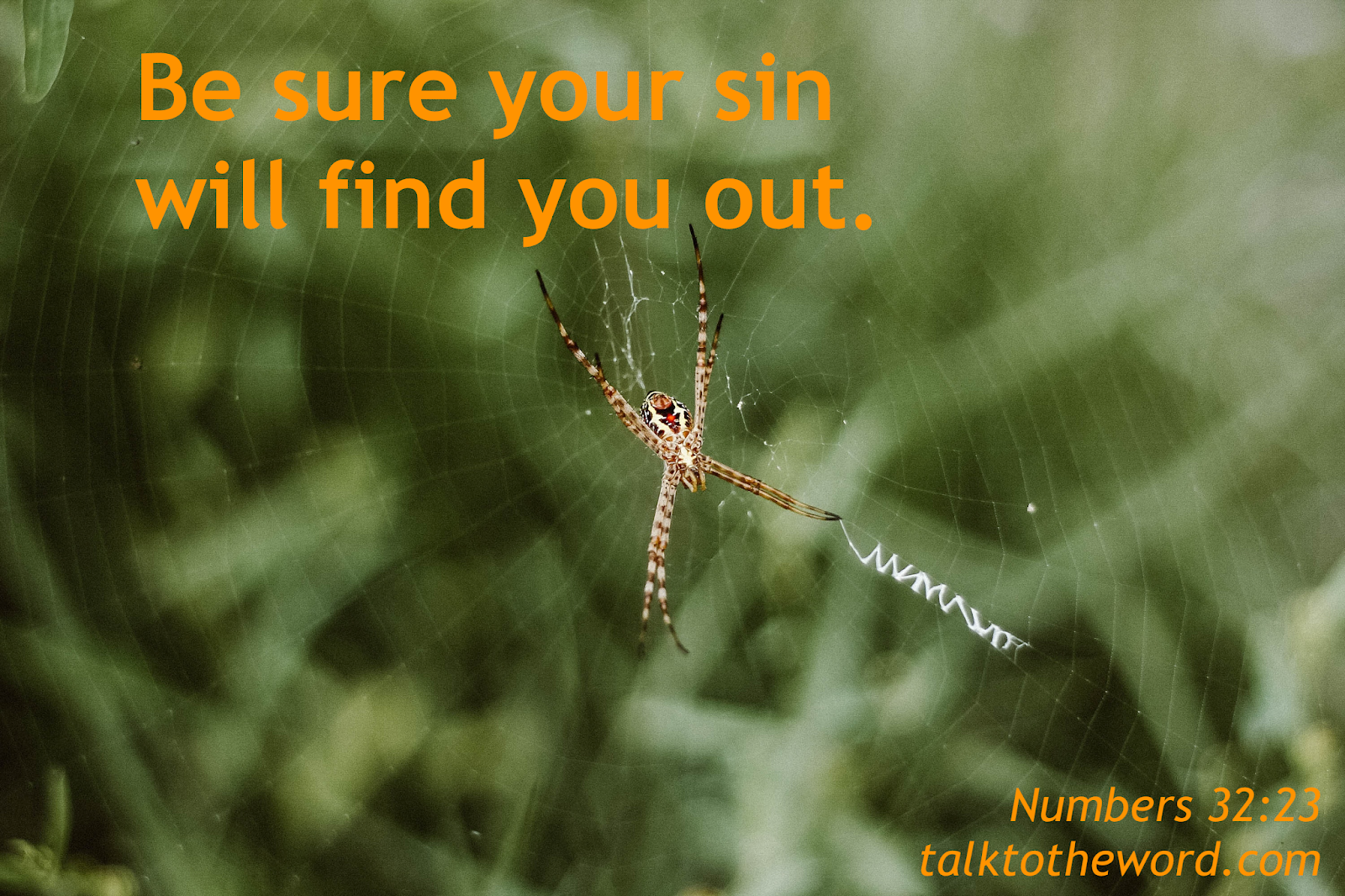 pib-numbers-1-36-posters