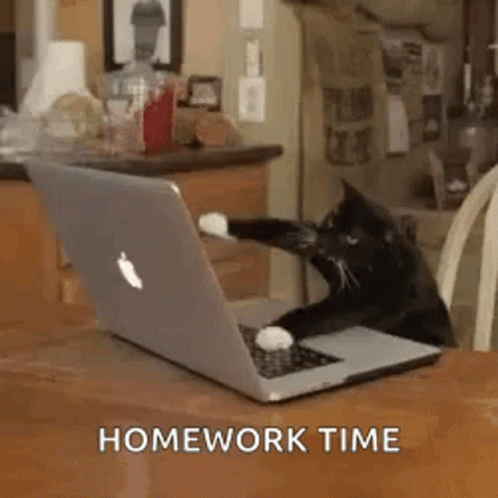 get your homework done gif
