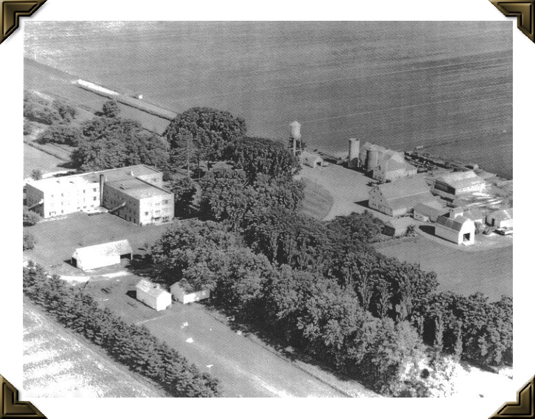 Me. Here. Right Now. July 2015