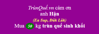 Trùn quế huyện Ea Sup