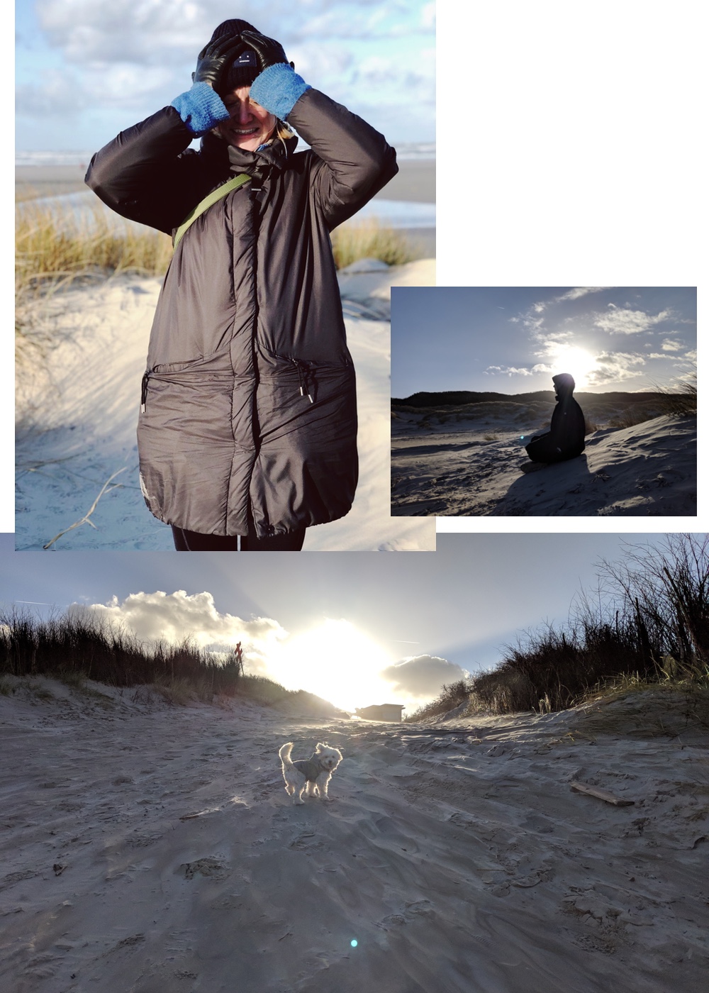 Die 55 Besten Bilder Zu Musik Schnuffelchen In 2020 Musik