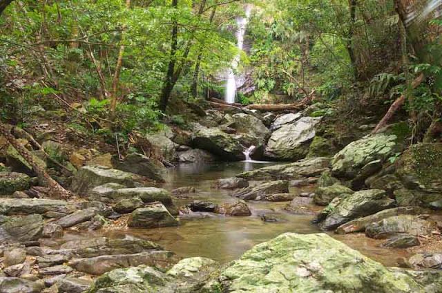 Fukugawa Falls, rocks, jungle, stream