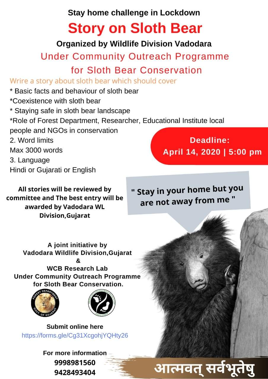 Sloth bear essay picture