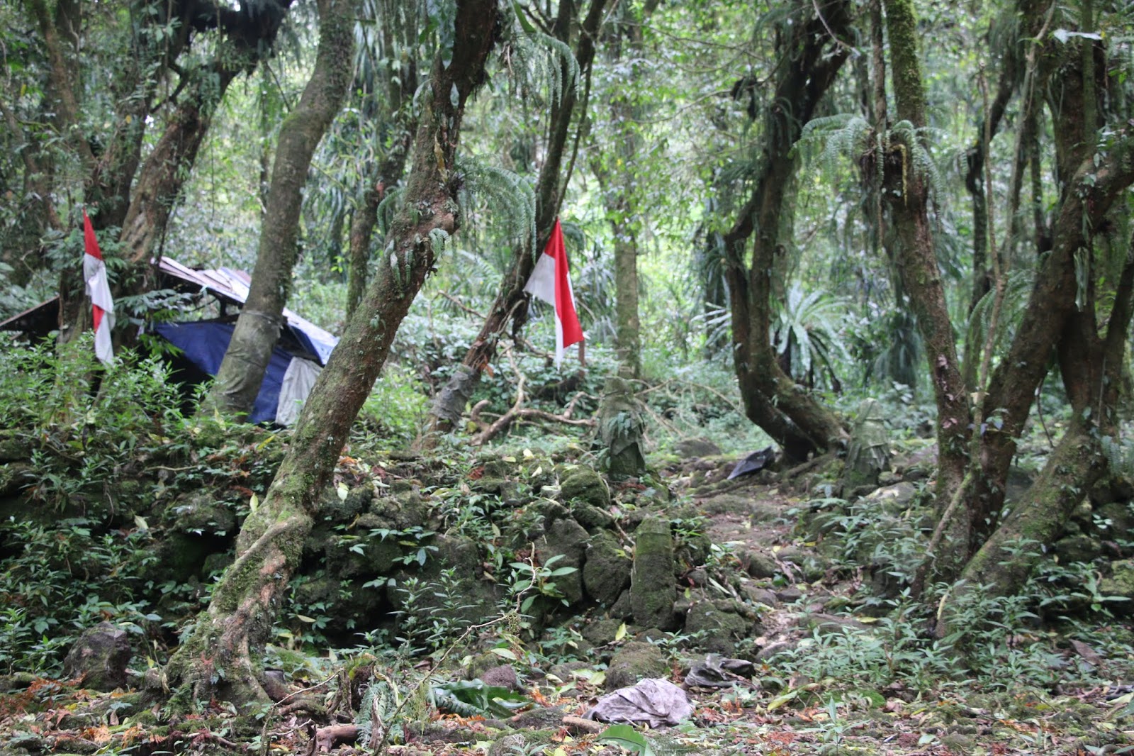 Situs Petilasan Prabu Siliwangi Puncak Gunung Tampomas