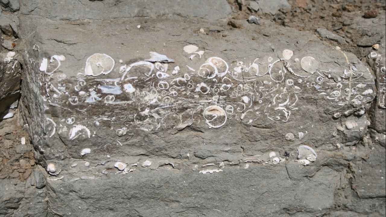 Noah’s Flood Evidence Jesus Kommer Snart