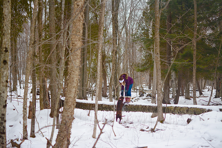 Winter walk in the woods | My Darling Days Blog Winter walk in the woods | My Darling Days Blog