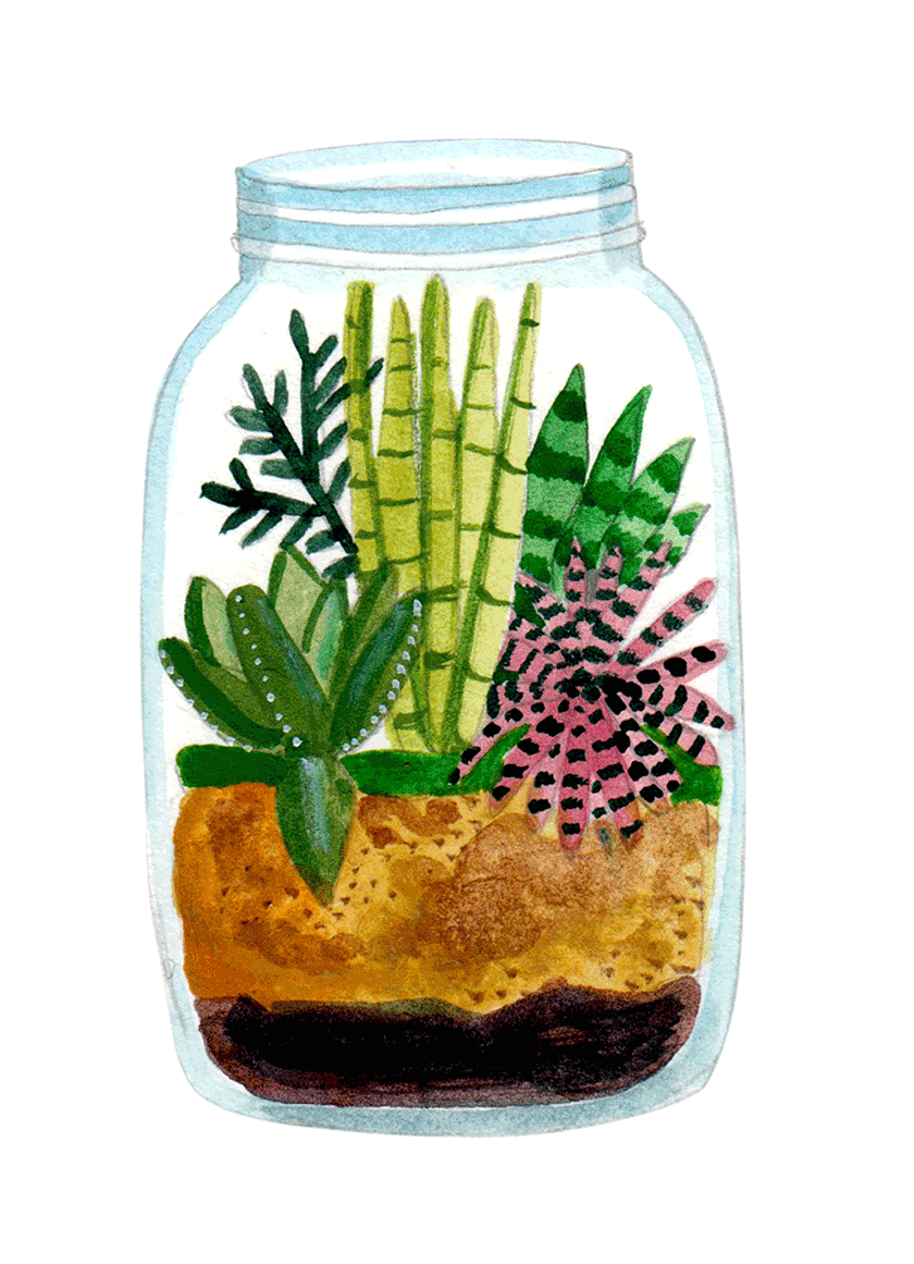 Terrariums Your Personalised Naturescapes.