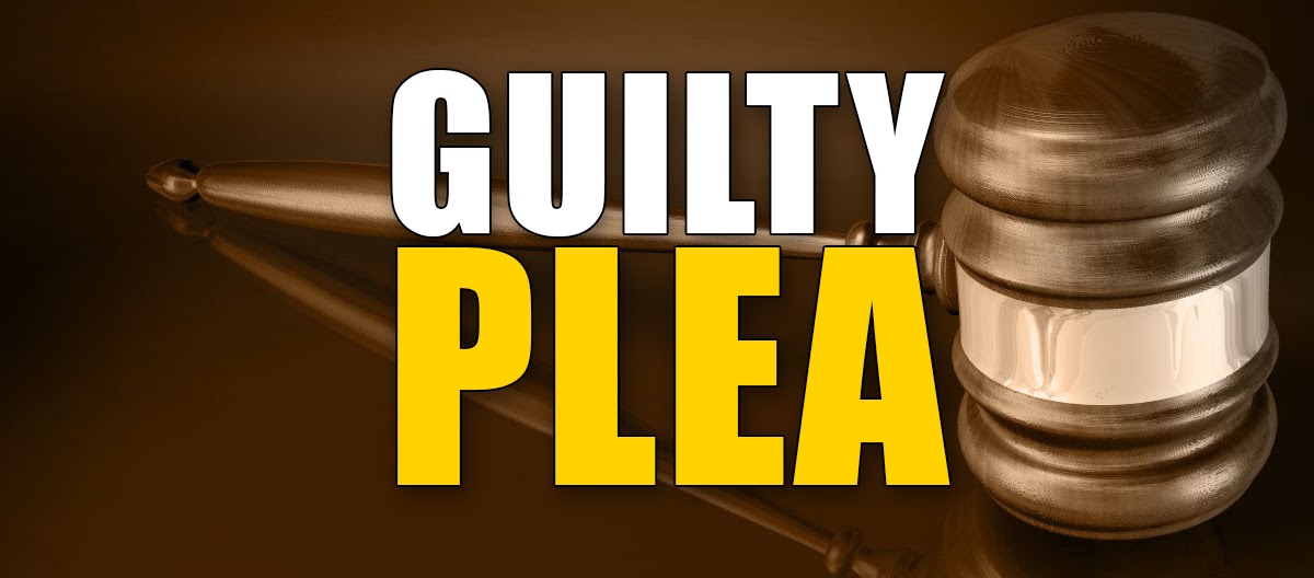 Wellsville Regional News (dot) com Allegany County Caneadea woman