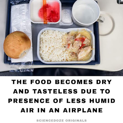 Aeroplane food facts