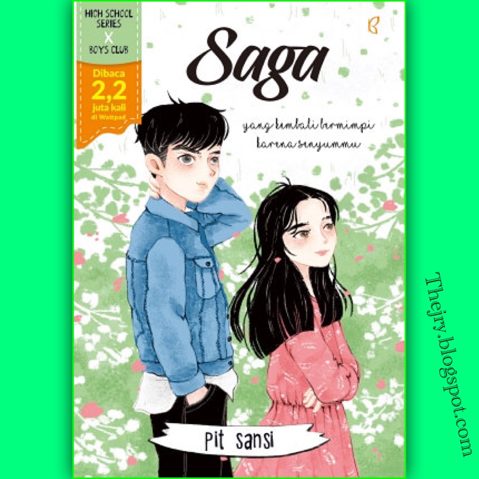 Sinopsis Novel Saga karya Pit Sansi Novel Gratis