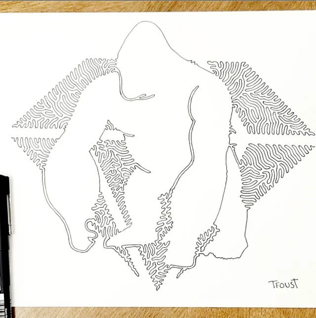 06-The-majestic-gorilla-Tyler-Foust-www-designstack-co