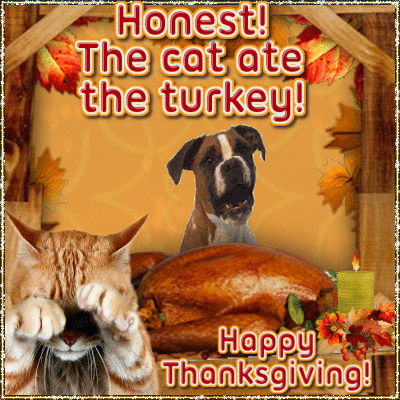 Funny Thanksgiving Gifs Free Download For Facebook Funny Thanksgiving Gifs Free Download For Facebook