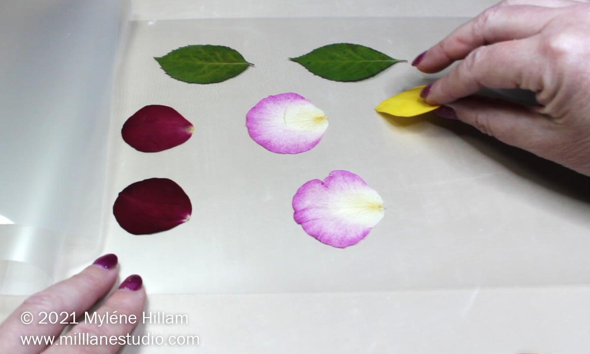 How to Seal Flowers for Resin Mill Lane Studio