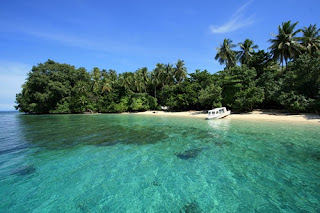 Taman Nasional Teluk Cenderawasih Taman Nasional Teluk Cenderawasih