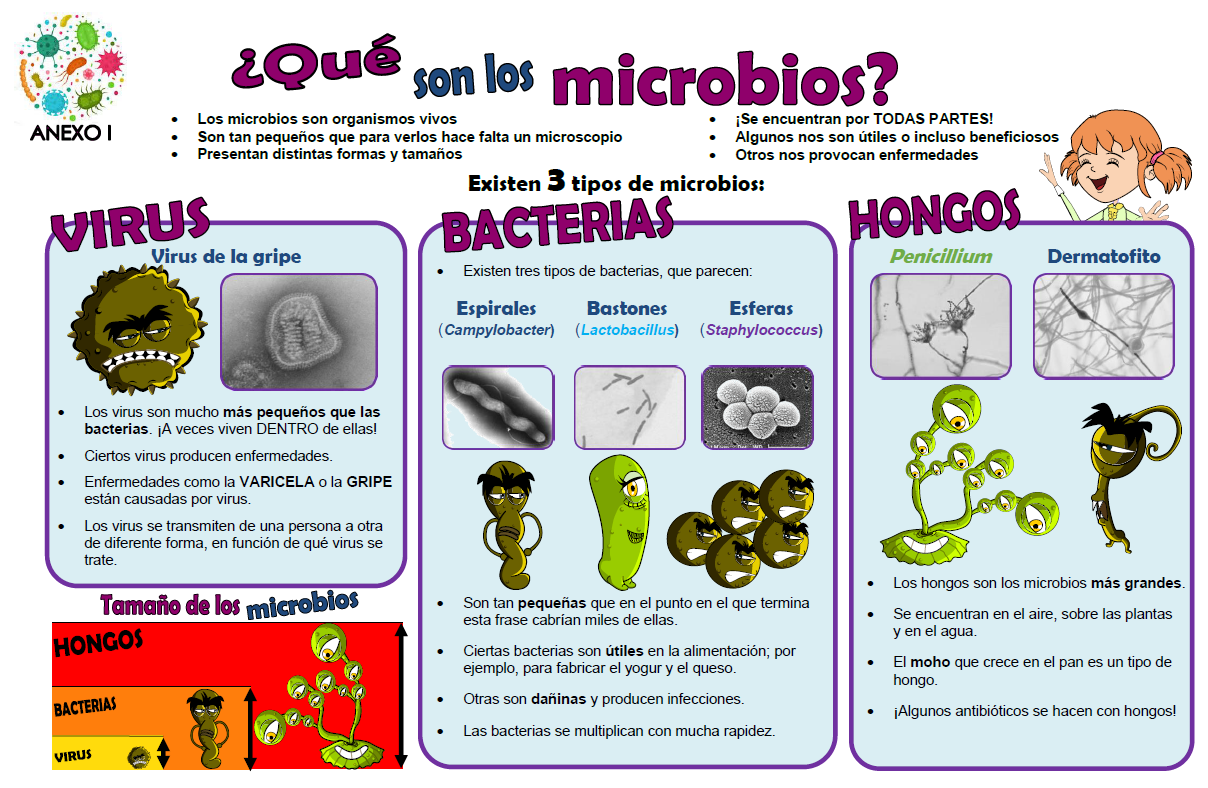 Salud mi colegio CEIP Virgen de