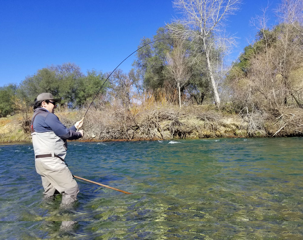 Jon Baiocchi Fly Fishing News Lower Yuba River Fly Fishing Report 2