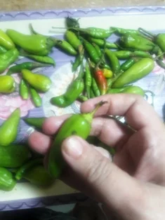 rinse-and-remove-stalk-green-chillies